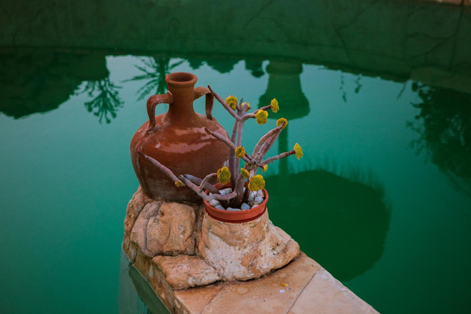 Bed & Breakfast Alegria Y Luna Bed & Breakfast Sorbas Ngoại thất bức ảnh